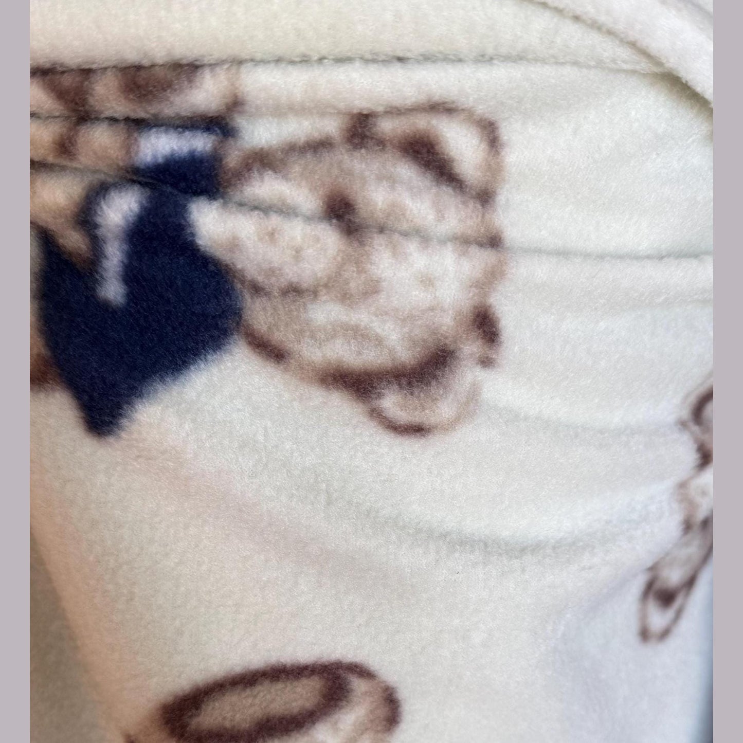 Teddy Bear Polar Fleece Fabric: 60" Wide Plush Polyester, Anti-Pill