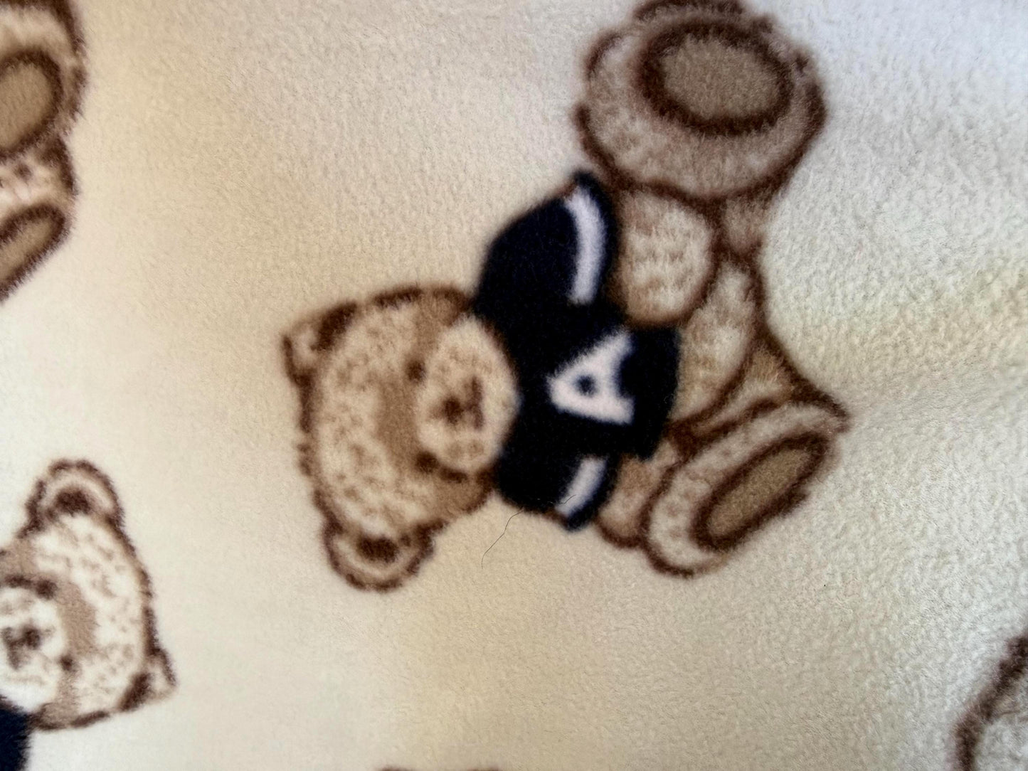 Teddy Bear Polar Fleece Fabric: 60" Wide Plush Polyester, Anti-Pill