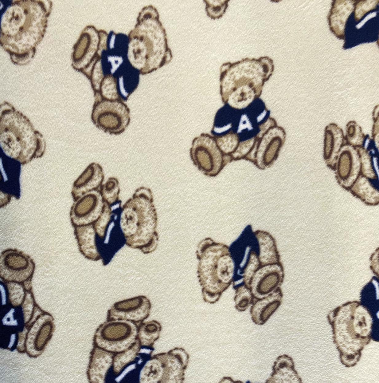 Teddy Bear Polar Fleece Fabric: 60" Wide Plush Polyester, Anti-Pill