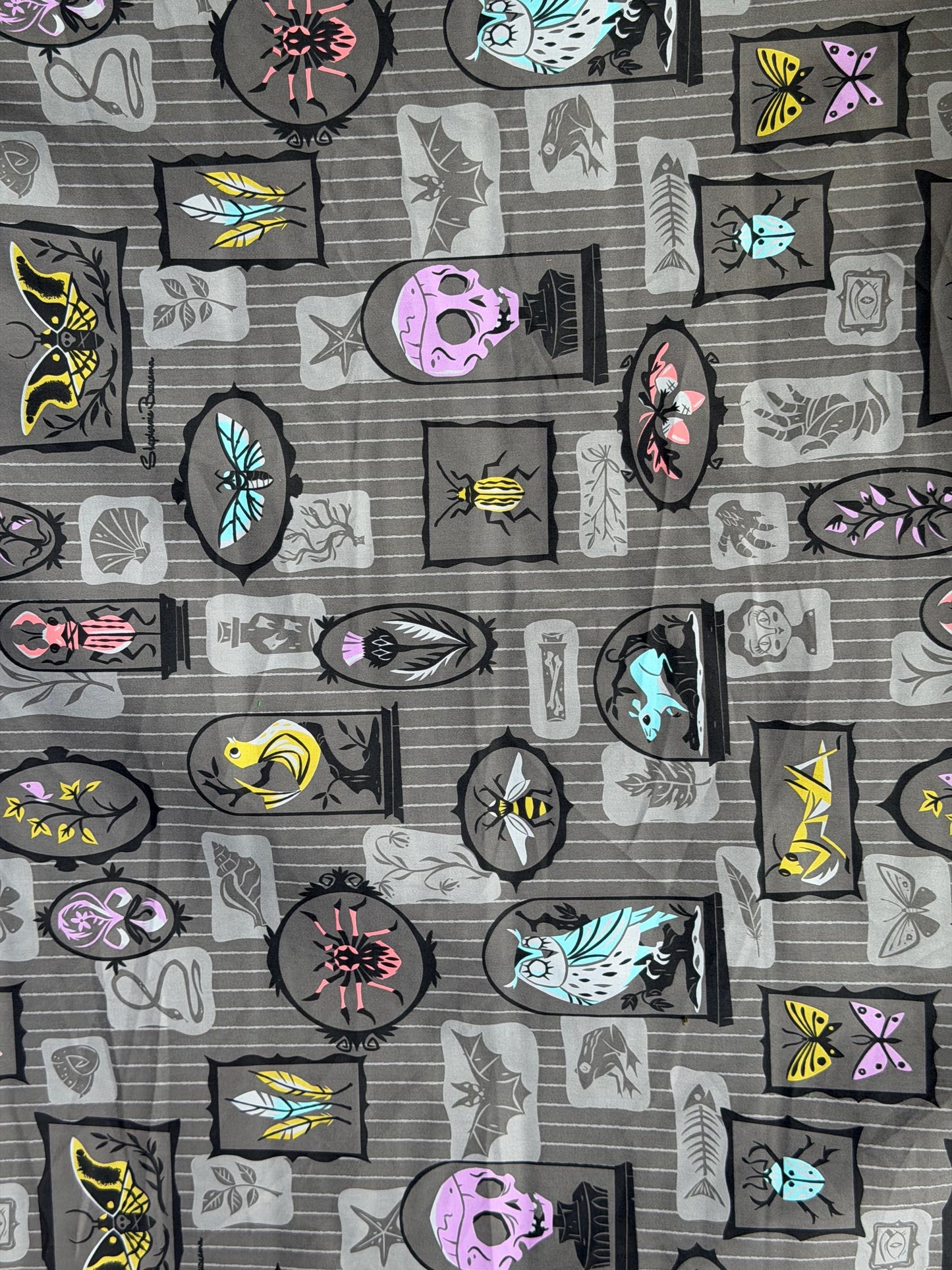 Gothic Curiosity Cabinet Fabric – Skulls, Moths, Beetles Novelty Print by Yard