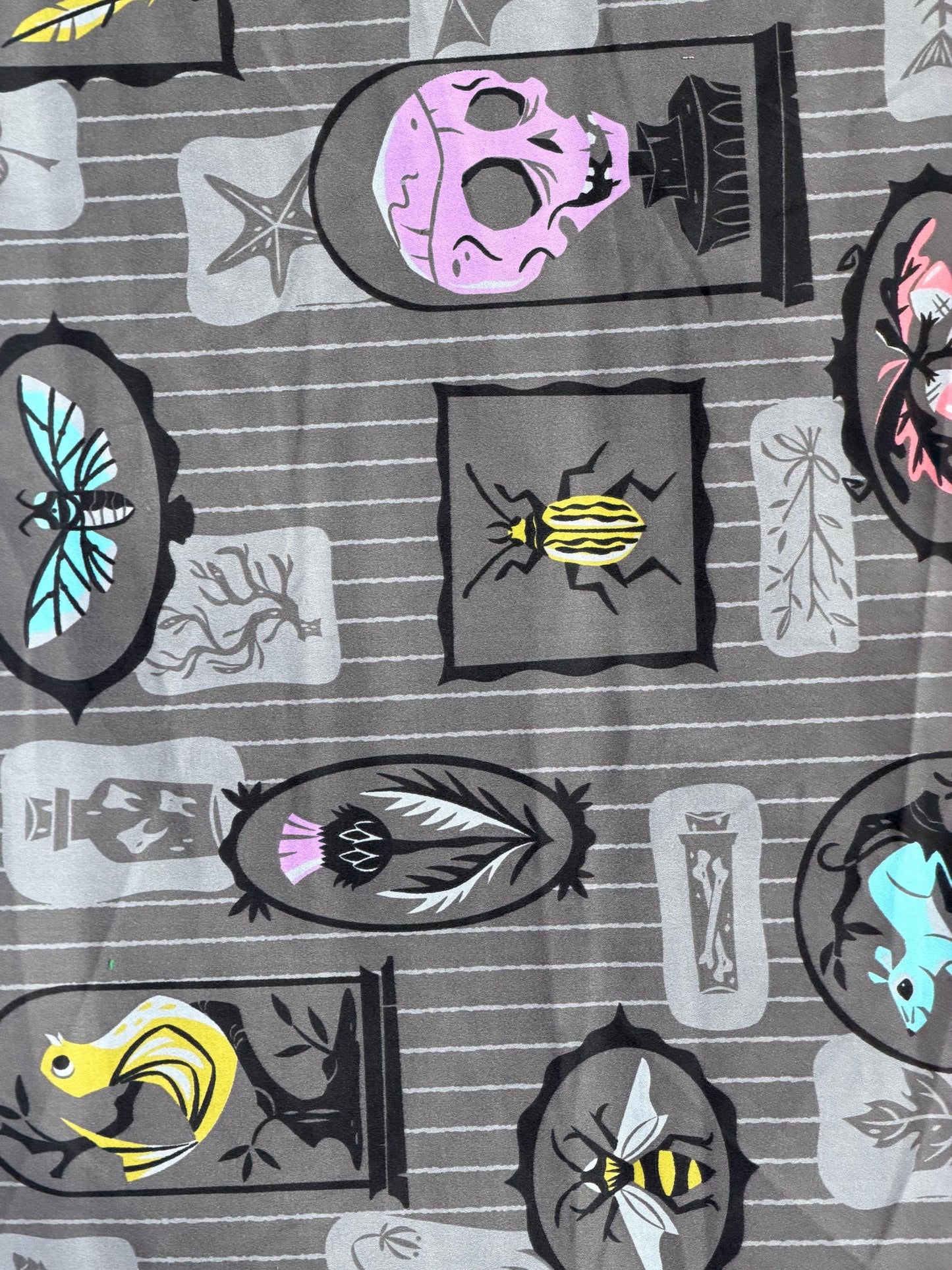 Gothic Curiosity Cabinet Fabric – Skulls, Moths, Beetles Novelty Print by Yard